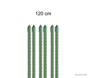 210983 pflanzstab 120.jpg